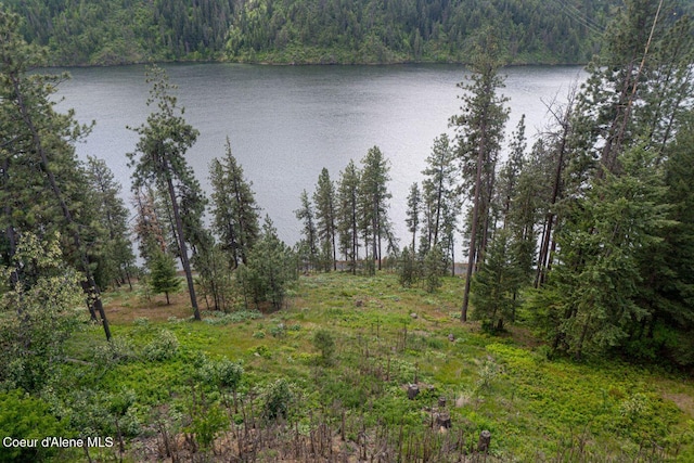 LOT22NKA Fernan Ter, Coeur Dalene, ID 83814