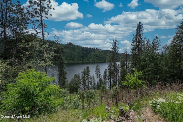 LOT22NKA Fernan Ter, Coeur Dalene, ID 83814