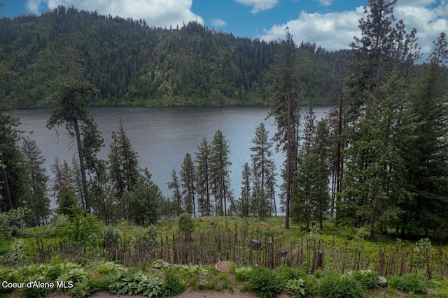LOT22NKA Fernan Ter, Coeur Dalene, ID 83814