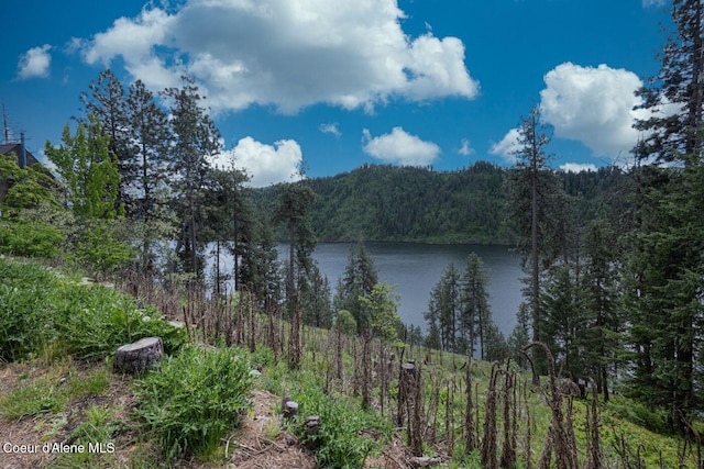 LOT22NKA Fernan Ter, Coeur Dalene, ID 83814