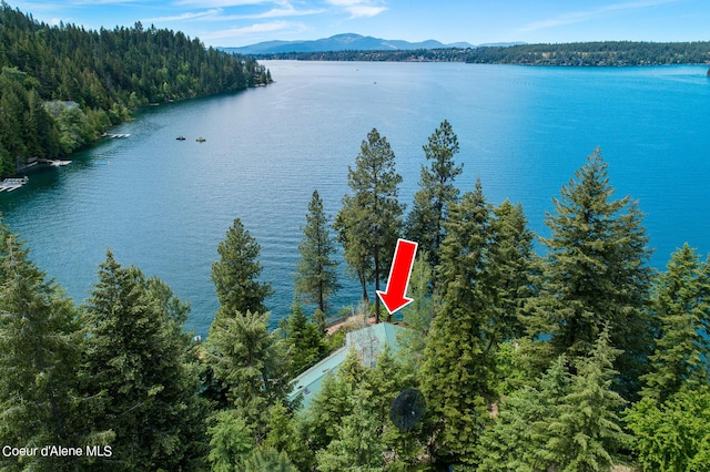 8457 N Powell Way, Hayden, ID 83835 - water view featuring a forest and a mountain backdrop