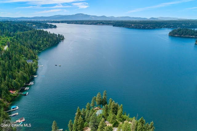 8457 N Powell Way, Hayden, ID 83835 - water view with mountains and a heavily wooded area
