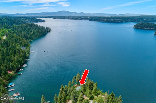 8457 N Powell Way, Hayden, ID 83835 - drone / aerial view of a water and mountain view and a heavily wooded area