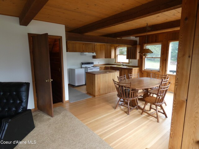 366 Yukon Rd, Bonners Ferry, ID 83805 - photo 15