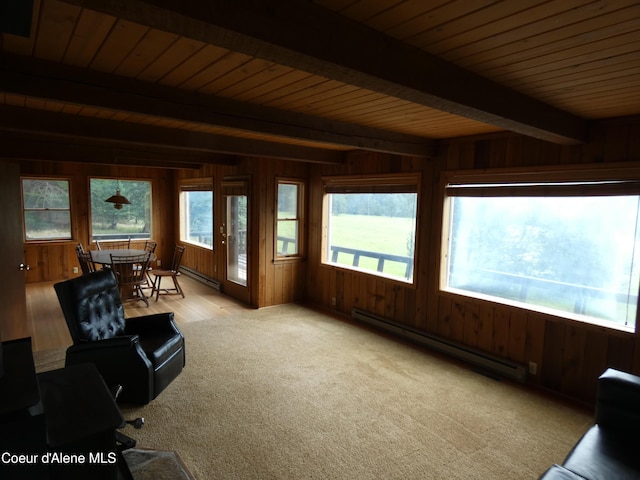 366 Yukon Rd, Bonners Ferry, ID 83805 - photo 17
