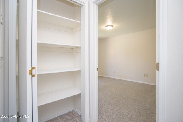 1130 E Timber Ln # 7, Coeur Dalene, ID 83815 - view of closet