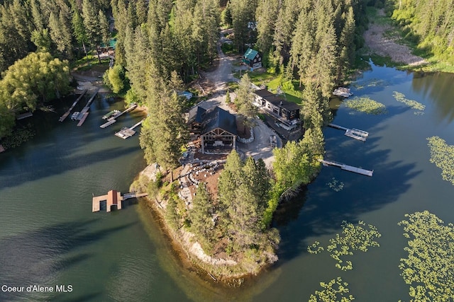 14318 N Waters Edge Ct, Hayden, ID 83835 - bird's eye view of a heavily wooded area and a large body of water