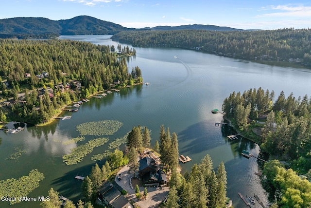 14318 N Waters Edge Ct, Hayden, ID 83835 - bird's eye view of a heavily wooded area and a water and mountain view