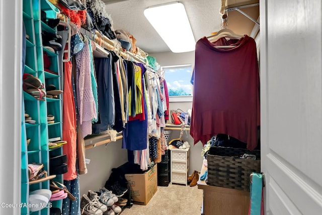 3423 E Hope Ave, Post Falls, ID 83854 - walk in closet featuring carpet