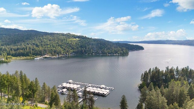 NNA E Sunset Shores Cir, Harrison, ID 83833 - photo 16