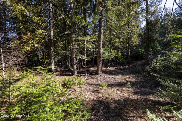 LOT17 White Cloud Dr, Sandpoint, ID 83864
