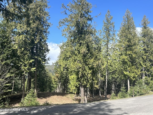 LOT17 White Cloud Dr, Sandpoint, ID 83864