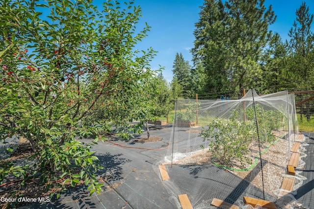 88 Fenway Dr, Sagle, ID 83860 - view of yard