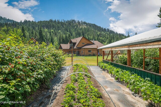 88 Fenway Dr, Sagle, ID 83860 - view of yard featuring a view of trees and a garden