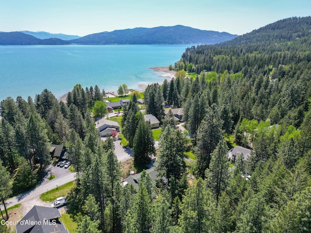 471 Kaniksu Shores Rd, Sandpoint, ID 83864 - bird's eye view of a heavily wooded area and a water and mountain view