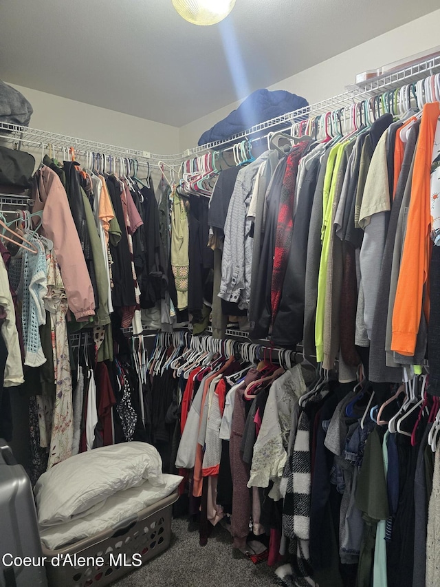 10566 N Seaside St, Hayden, ID 83835 - spacious closet with carpet