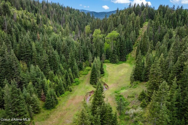 4165 S Varnum Rd, Coeur Dalene, ID 83814 - photo 43