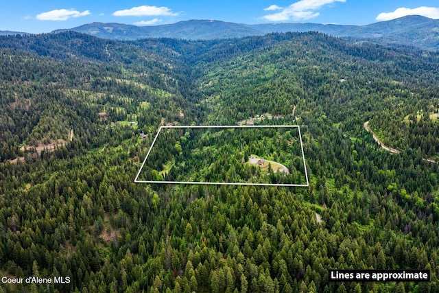 4165 S Varnum Rd, Coeur Dalene, ID 83814 - photo 50