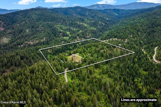 4165 S Varnum Rd, Coeur Dalene, ID 83814 - photo 51