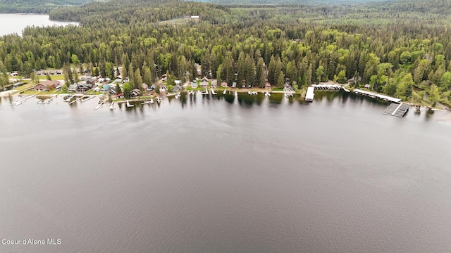 97 S Granite Bay Rd, Nordman, ID 83848 - bird's eye view of a forest and a nearby body of water
