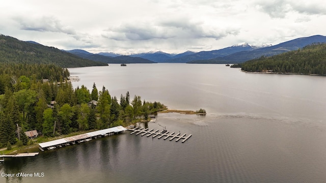 97 S Granite Bay Rd, Nordman, ID 83848 - water view featuring a mountainous background and a heavily wooded area