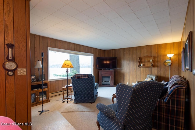 97 S Granite Bay Rd, Nordman, ID 83848 - living area with baseboard heating, carpet, wooden walls, and a glass covered fireplace