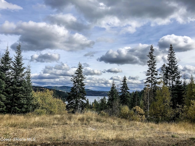 10550 W Vogel Rd, Worley, ID 83876