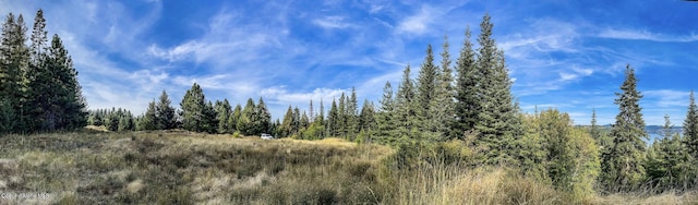 10550 W Vogel Rd, Worley, ID 83876