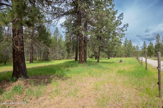 919 Silver Springs Rd, Moyie Springs, ID 83845 - view of yard with a forest view