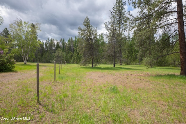 919 Silver Springs Rd, Moyie Springs, ID 83845 - view of yard with a forest view