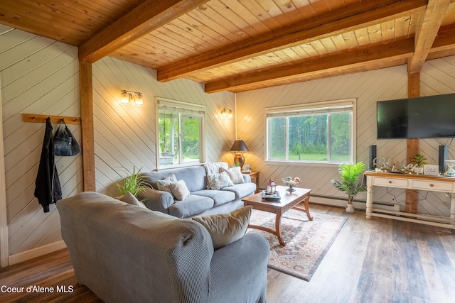 919 Silver Springs Rd, Moyie Springs, ID 83845 - living area featuring healthy amount of natural light, hardwood / wood-style floors, wooden ceiling with exposed beams, and wood walls