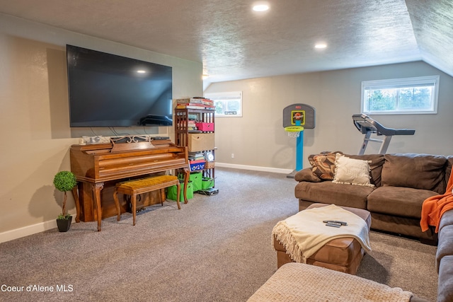 919 Silver Springs Rd, Moyie Springs, ID 83845 - carpeted living room featuring a textured ceiling, baseboards, plenty of natural light, recessed lighting, and lofted ceiling