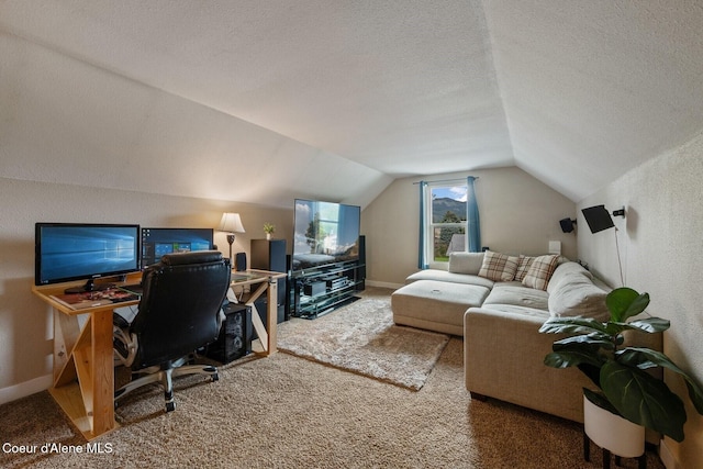 112 Washington St, Priest River, ID 83856 - carpeted office with vaulted ceiling, a textured ceiling, and baseboards