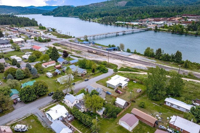112 Washington St, Priest River, ID 83856 - drone / aerial view of a forest and a water and mountain view