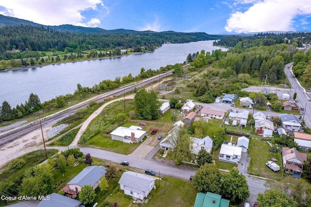 112 Washington St, Priest River, ID 83856 - drone / aerial view of a heavily wooded area and a water and mountain view
