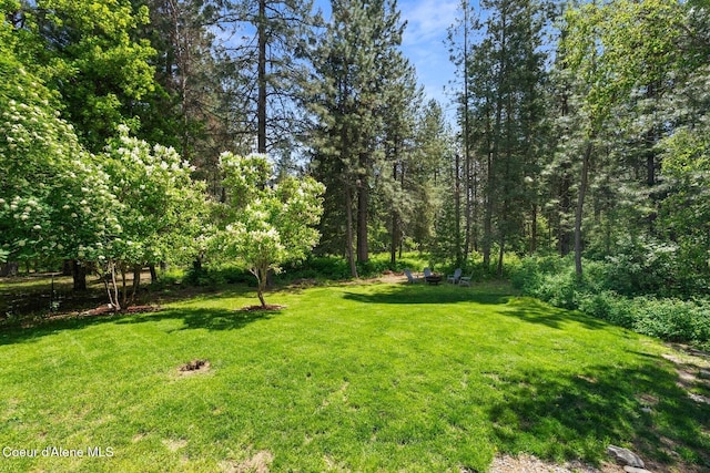 11 Hackney Ln, Sandpoint, ID 83864 - view of grassy yard