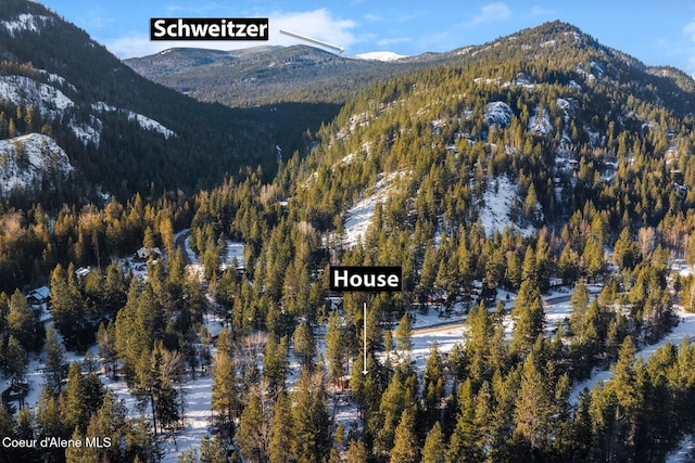 11 Hackney Ln, Sandpoint, ID 83864 - view of mountain background featuring a forest