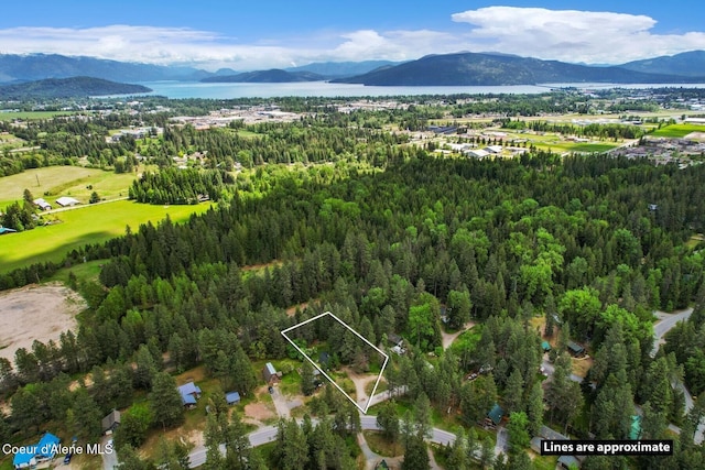 11 Hackney Ln, Sandpoint, ID 83864 - aerial overview of property's location with property boundaries highlighted, a heavily wooded area, and a water and mountain view