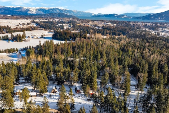 11 Hackney Ln, Sandpoint, ID 83864 - aerial overview of property's location featuring a mountain backdrop and a forest