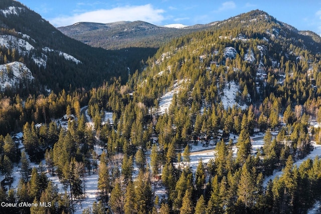 11 Hackney Ln, Sandpoint, ID 83864 - view of mountain backdrop with a forest