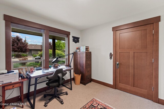 305 Maddie Ln, Sandpoint, ID 83864 - office space with carpet and baseboards