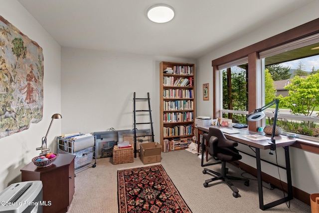 305 Maddie Ln, Sandpoint, ID 83864 - office area featuring carpet flooring