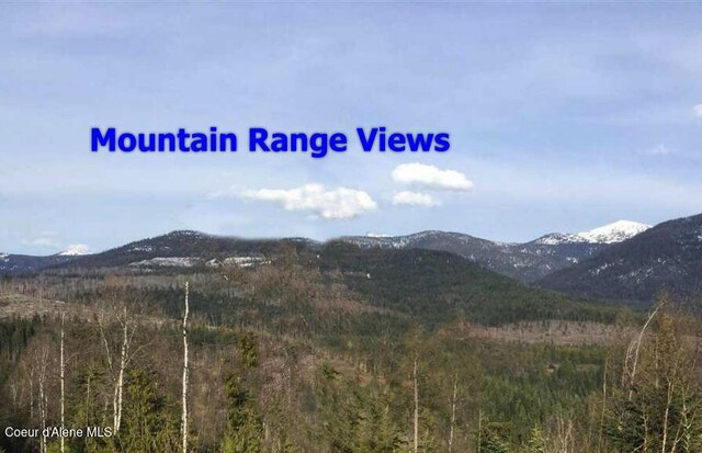 1572 Cohage Rd, Sandpoint, ID 83864 - photo 15