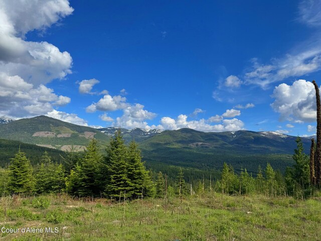 1572 Cohage Rd, Sandpoint, ID 83864 - photo 7
