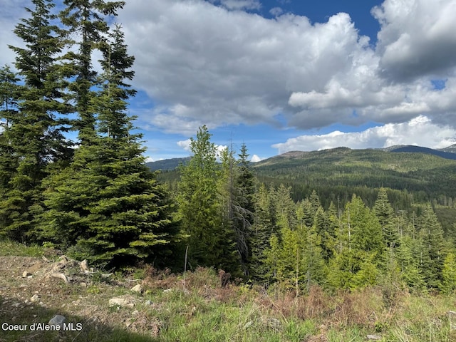 1572 Cohage Rd, Sandpoint, ID 83864 - photo 27