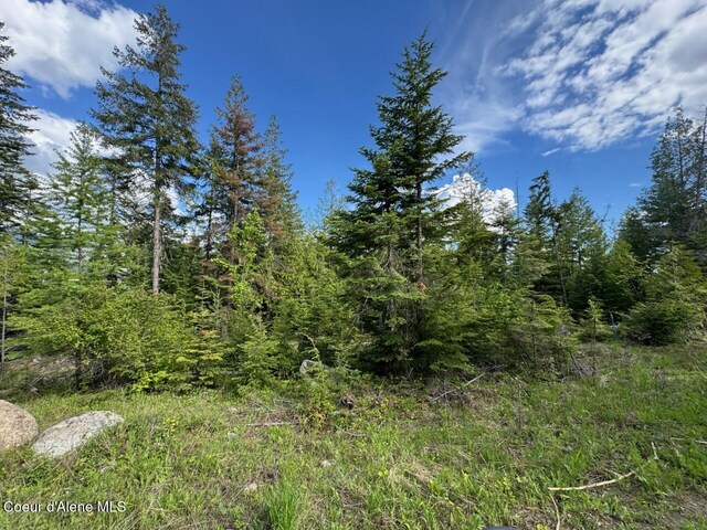 1572 Cohage Rd, Sandpoint, ID 83864 - photo 30