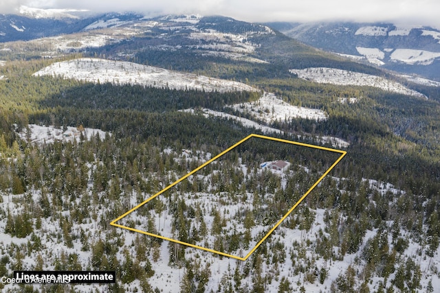 1572 Cohage Rd, Sandpoint, ID 83864 - photo 32