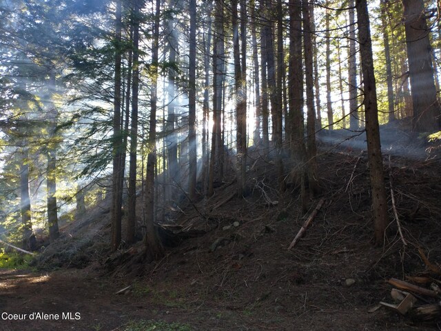 NNA Grouse Creek Rd, Sandpoint, ID 83864 - photo 14