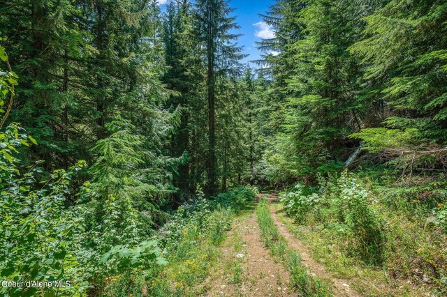 NNA Grouse Creek Rd, Sandpoint, ID 83864 - photo 20