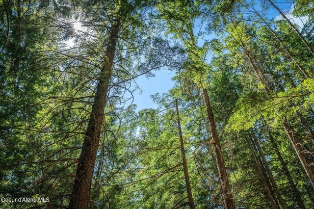 NNA Grouse Creek Rd, Sandpoint, ID 83864 - photo 13